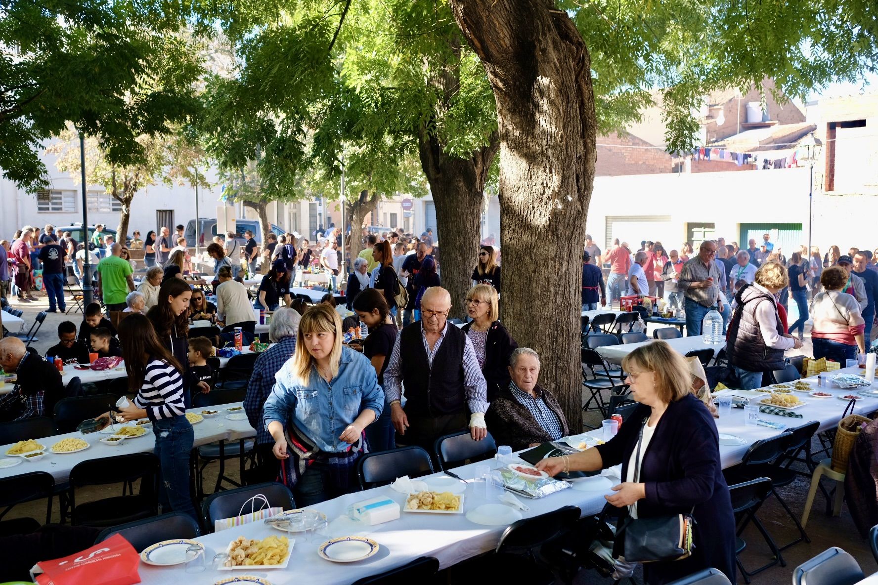 Concurs d'arrossos de Sant Martí. FOTO: Ale Gómez