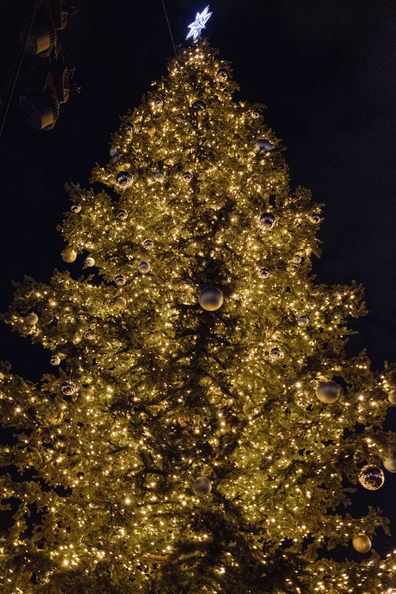 Encesa de llums de Nadal a Cerdanyola (1 de desembre de 2022). FOTO: Ale Gómez