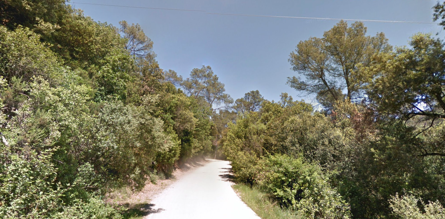 Una part del recorregut per Collserola. Una part del recorregut per Collserola.