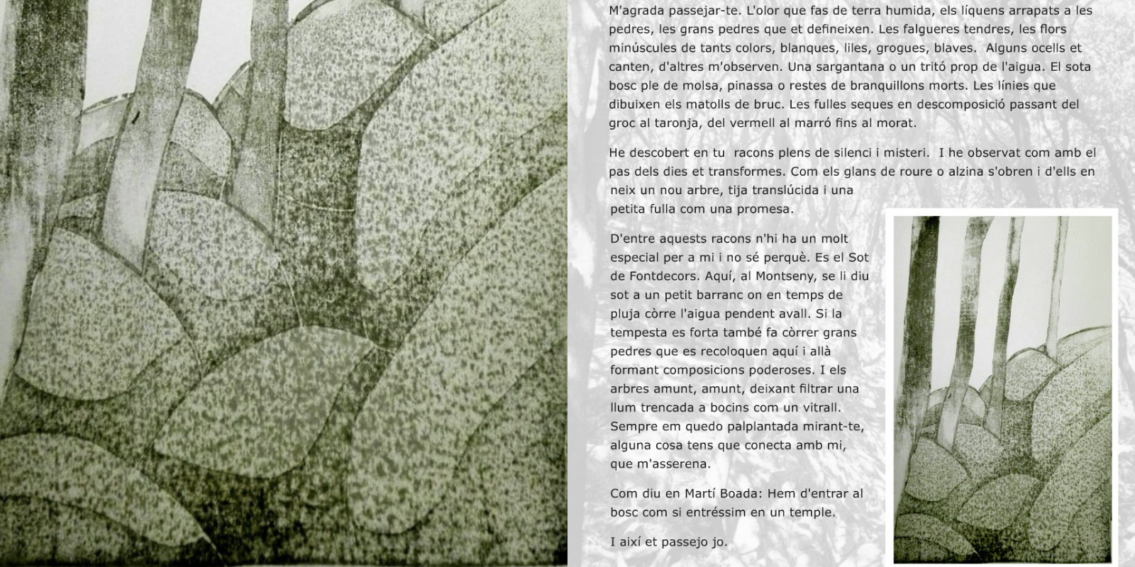 Fragment de l'exposició de Marutxi Beaumont a l'Ateneu. FOTO: Cedida