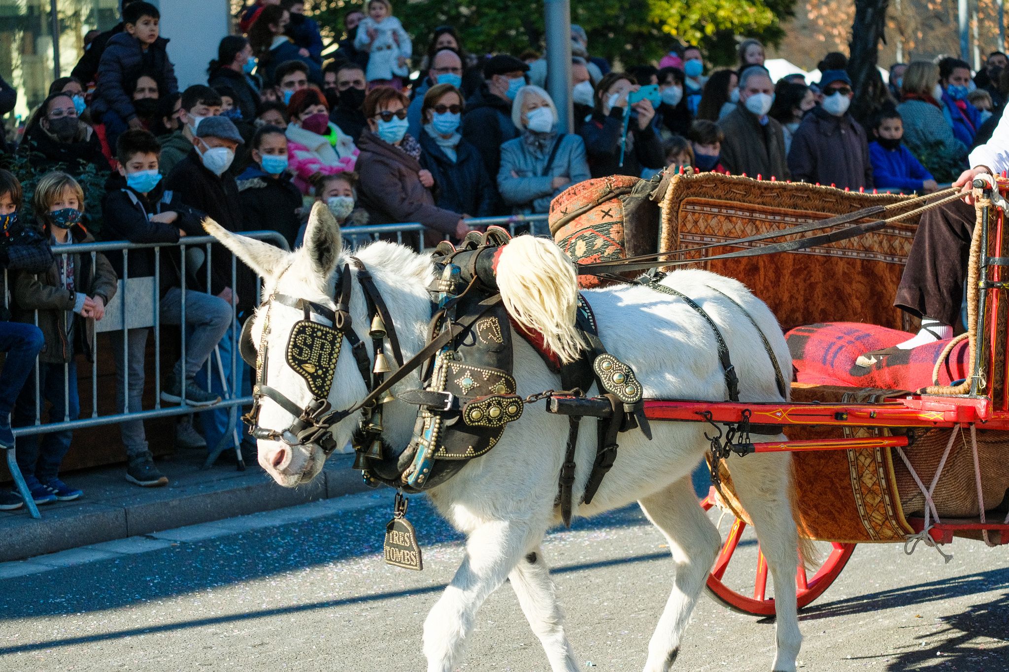 Fotografia dels Tres tombs de 2022. FOTO: Ale Gómez