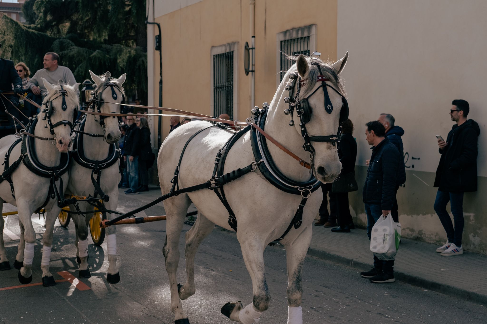 Passada dels Tres Tombs 2023 a Cerdanyola. Foto: Ale Gómez