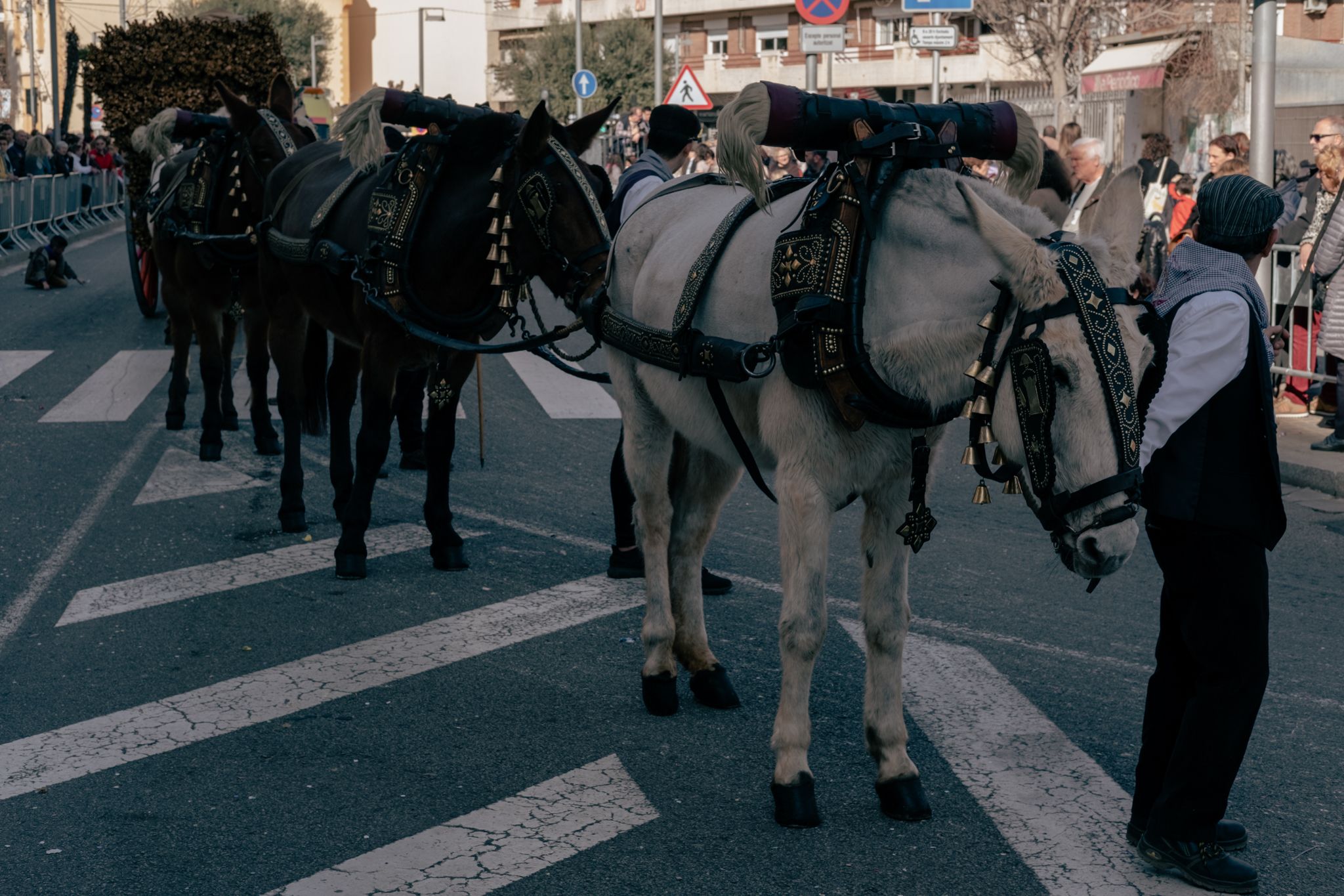 Passada dels Tres Tombs 2023 a Cerdanyola. Foto: Ale Gómez