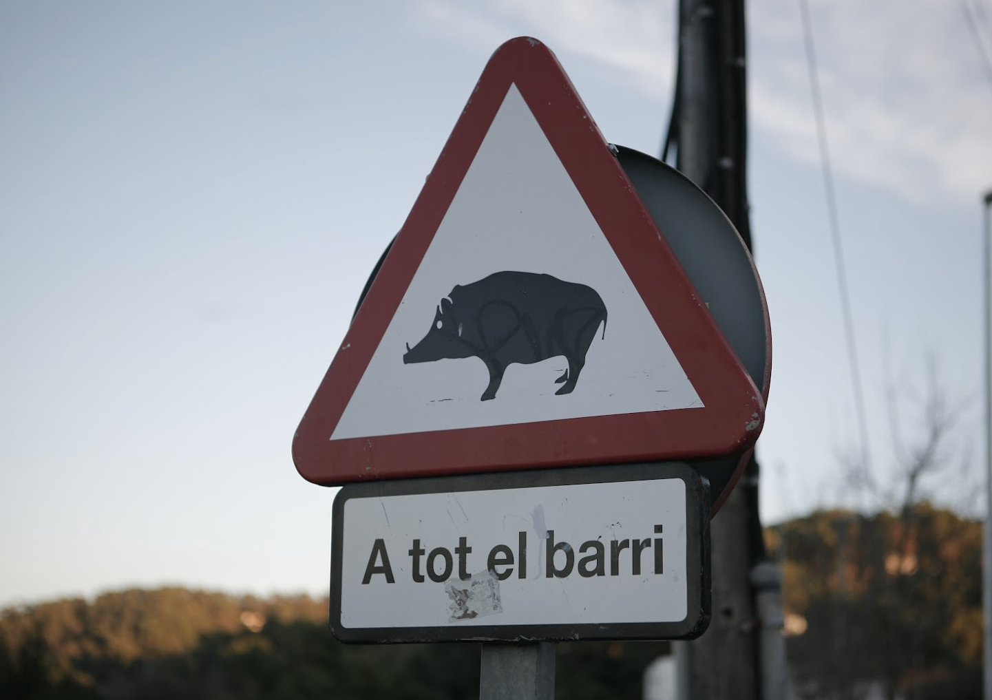 Una senyal alerta de senglars. FOTO: TOT Sant Cugat