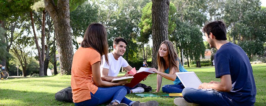 Els cursos s’imparteixen al campus de Bellaterra. FOTO: UAB Els cursos s’imparteixen al campus de Bellaterra. FOTO: UAB