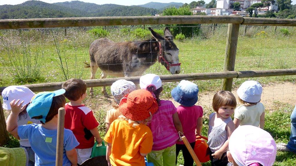 Granja de Can Coll