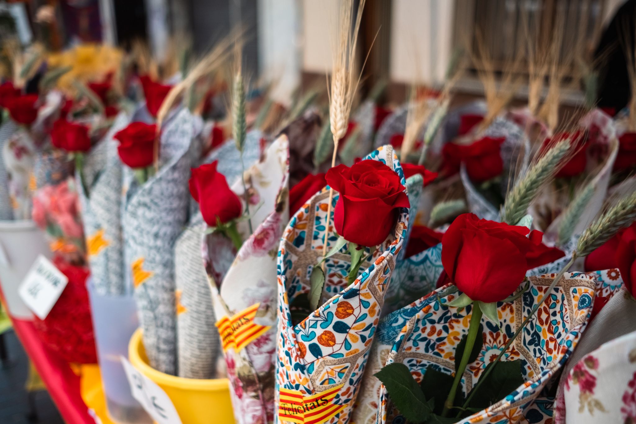 Sant Jordi a Cerdanyola 03