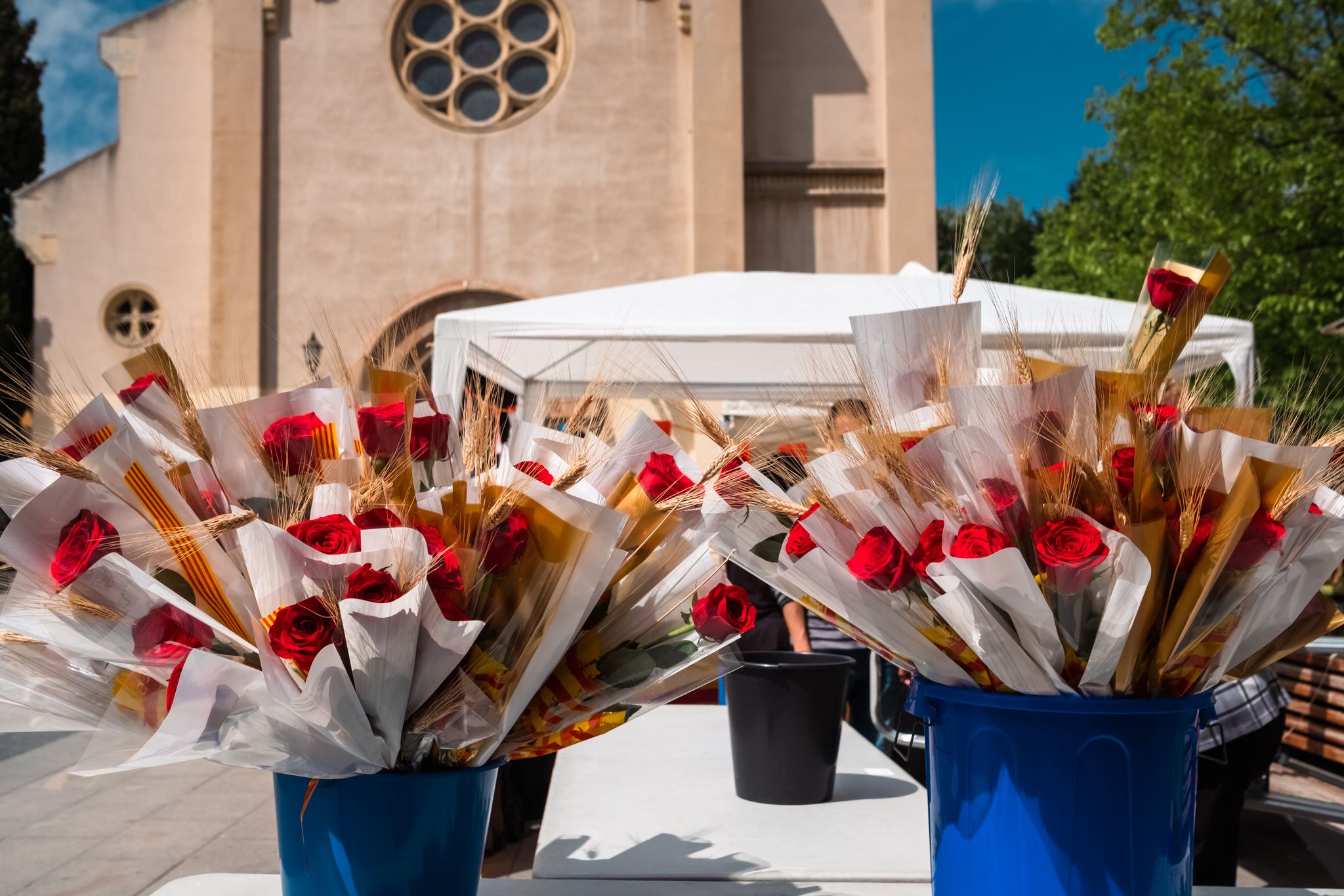 Sant Jordi a Cerdanyola 06