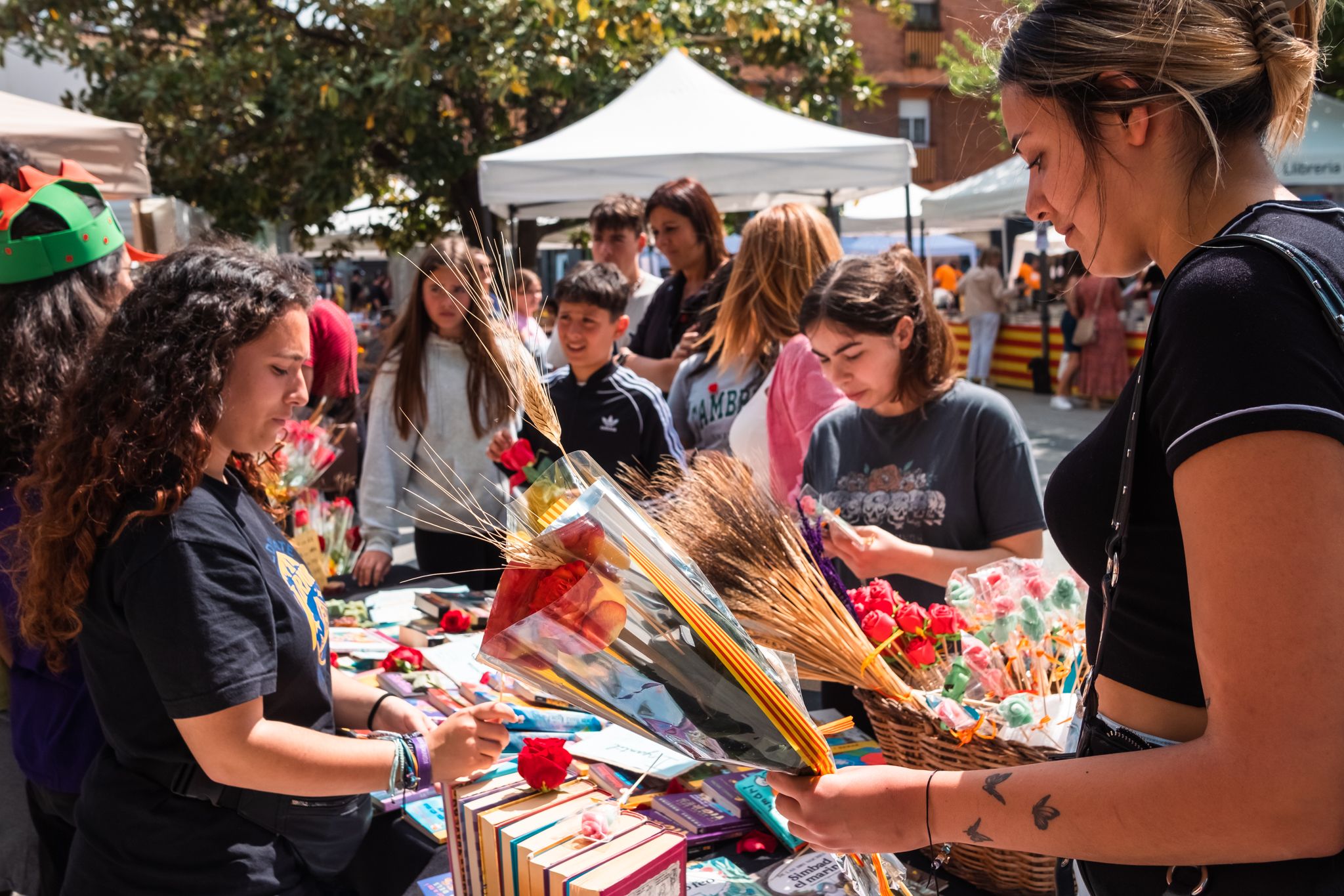 Sant Jordi a Cerdanyola 12