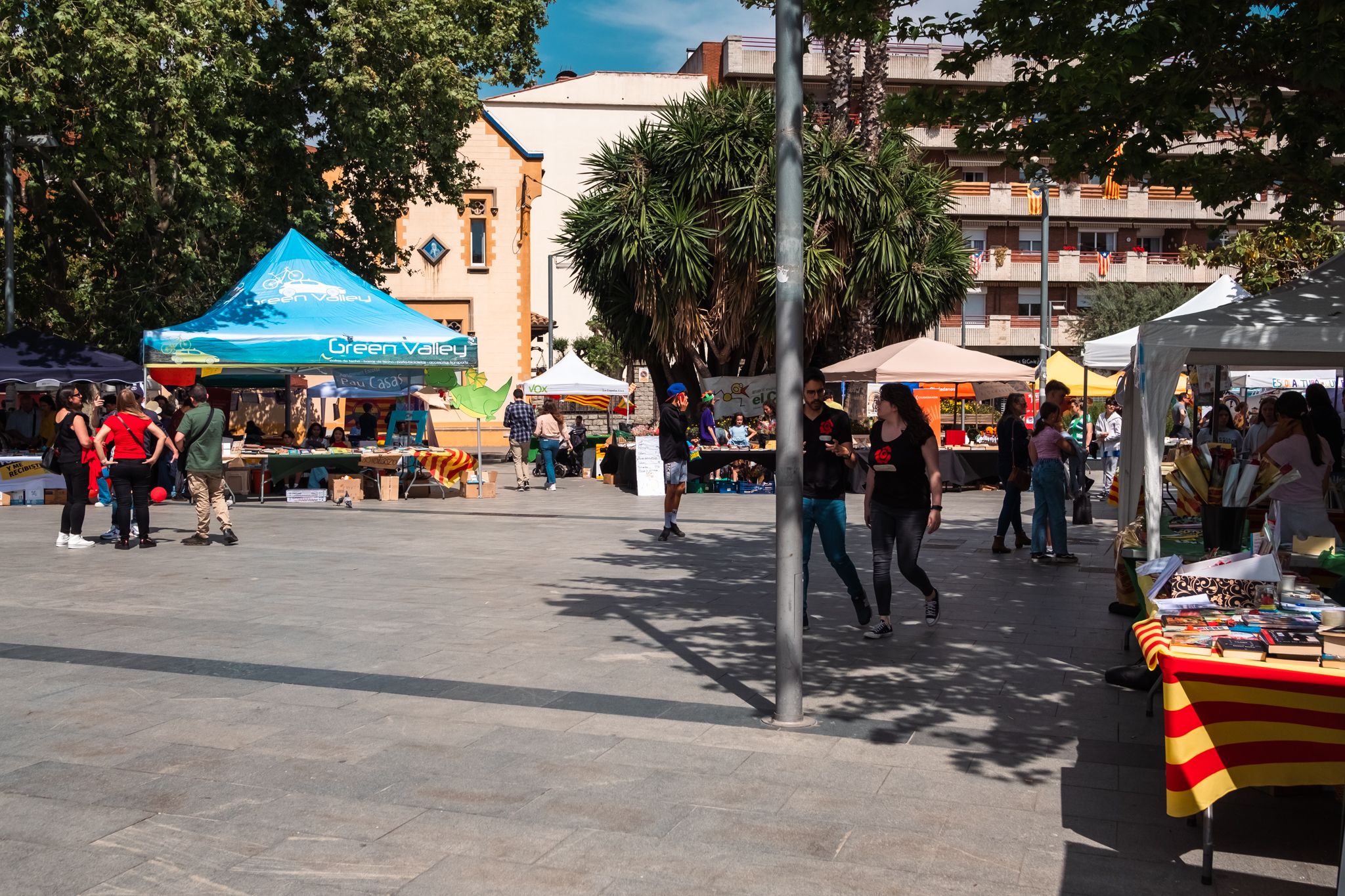 Sant Jordi a Cerdanyola 17