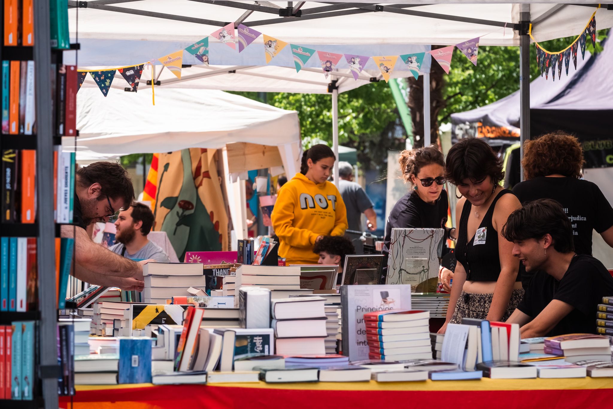 Sant Jordi a Cerdanyola 21