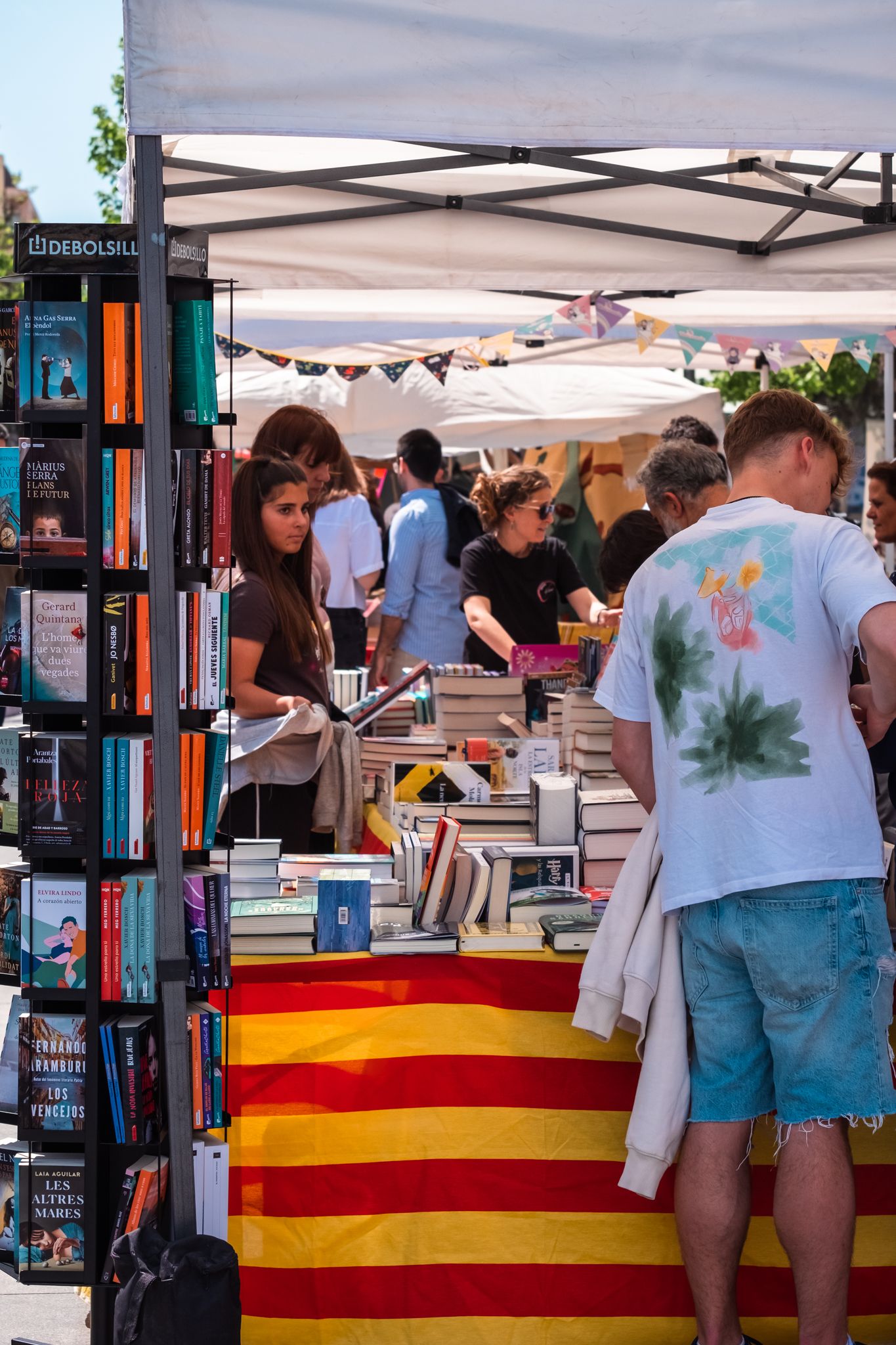 Sant Jordi a Cerdanyola 22