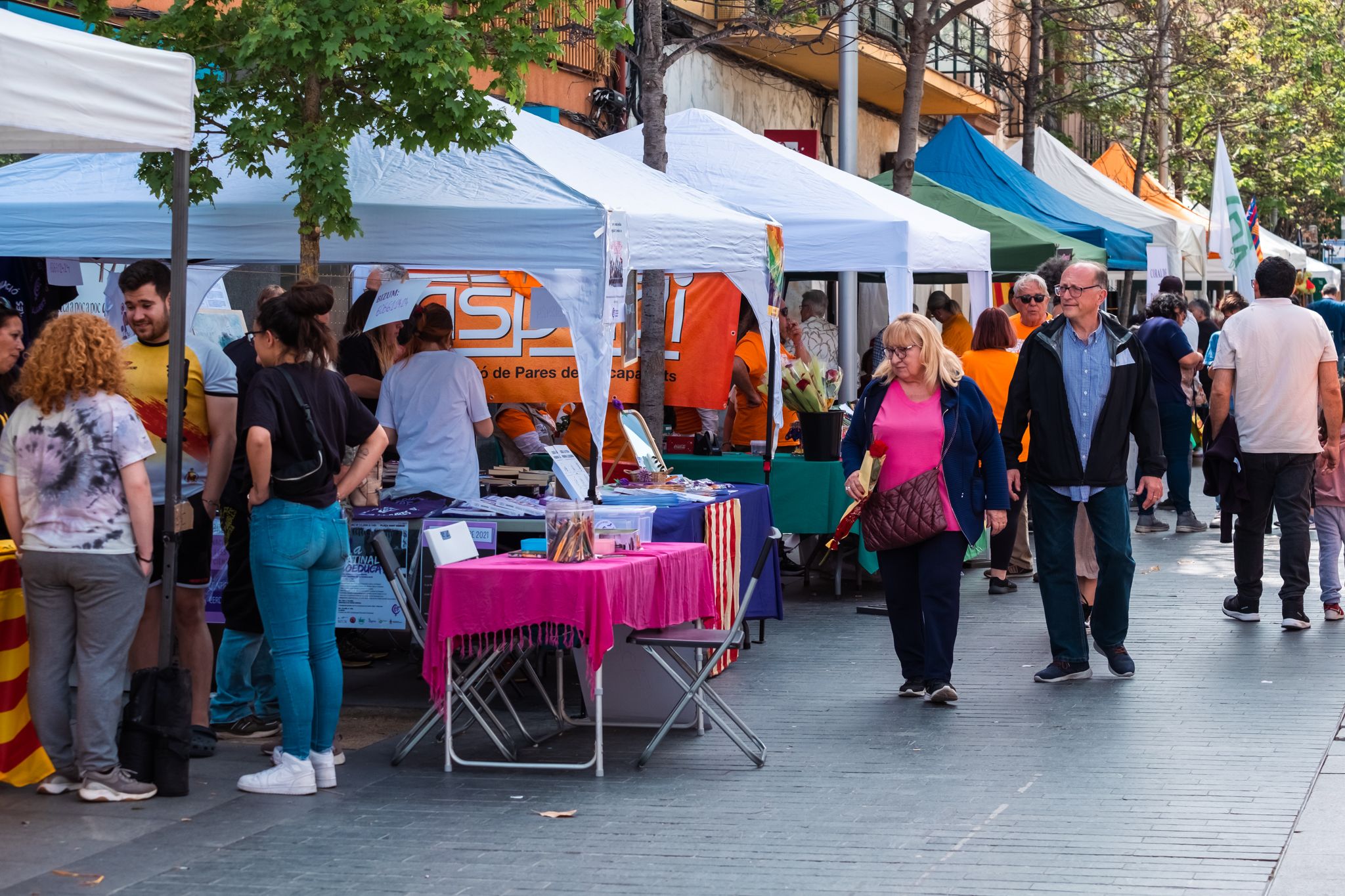 Sant Jordi a Cerdanyola 23