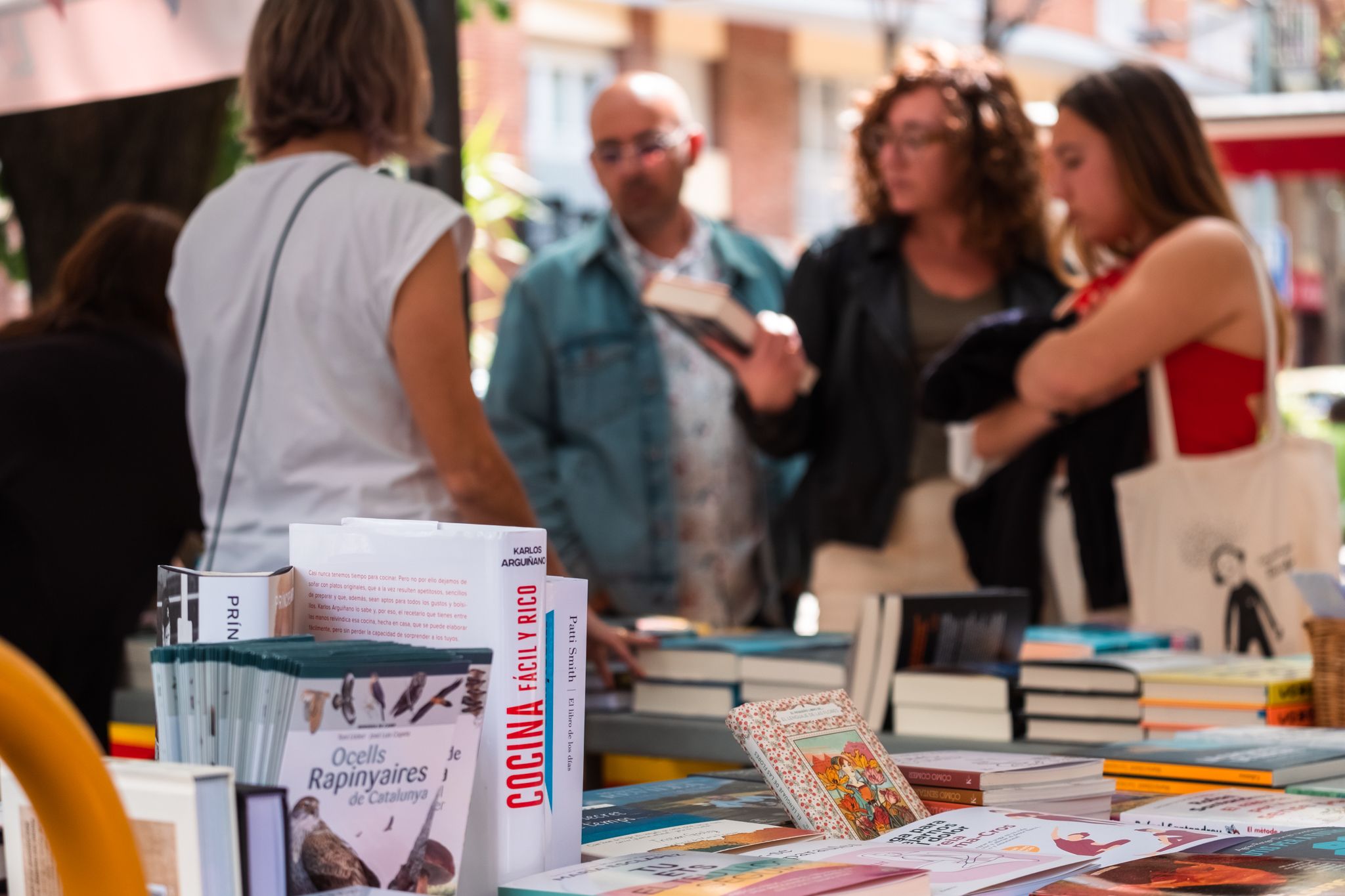 Sant Jordi a Cerdanyola 27