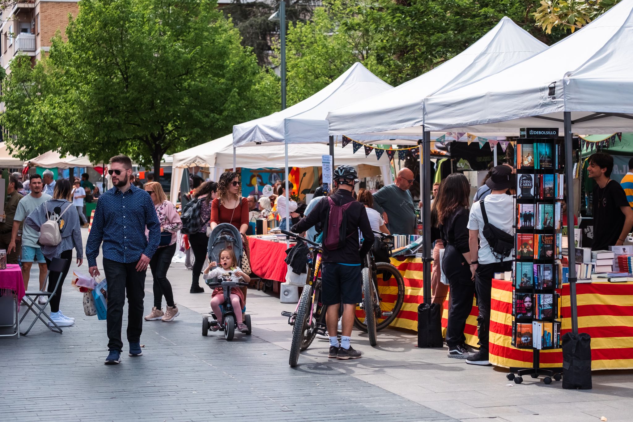 Sant Jordi a Cerdanyola 32