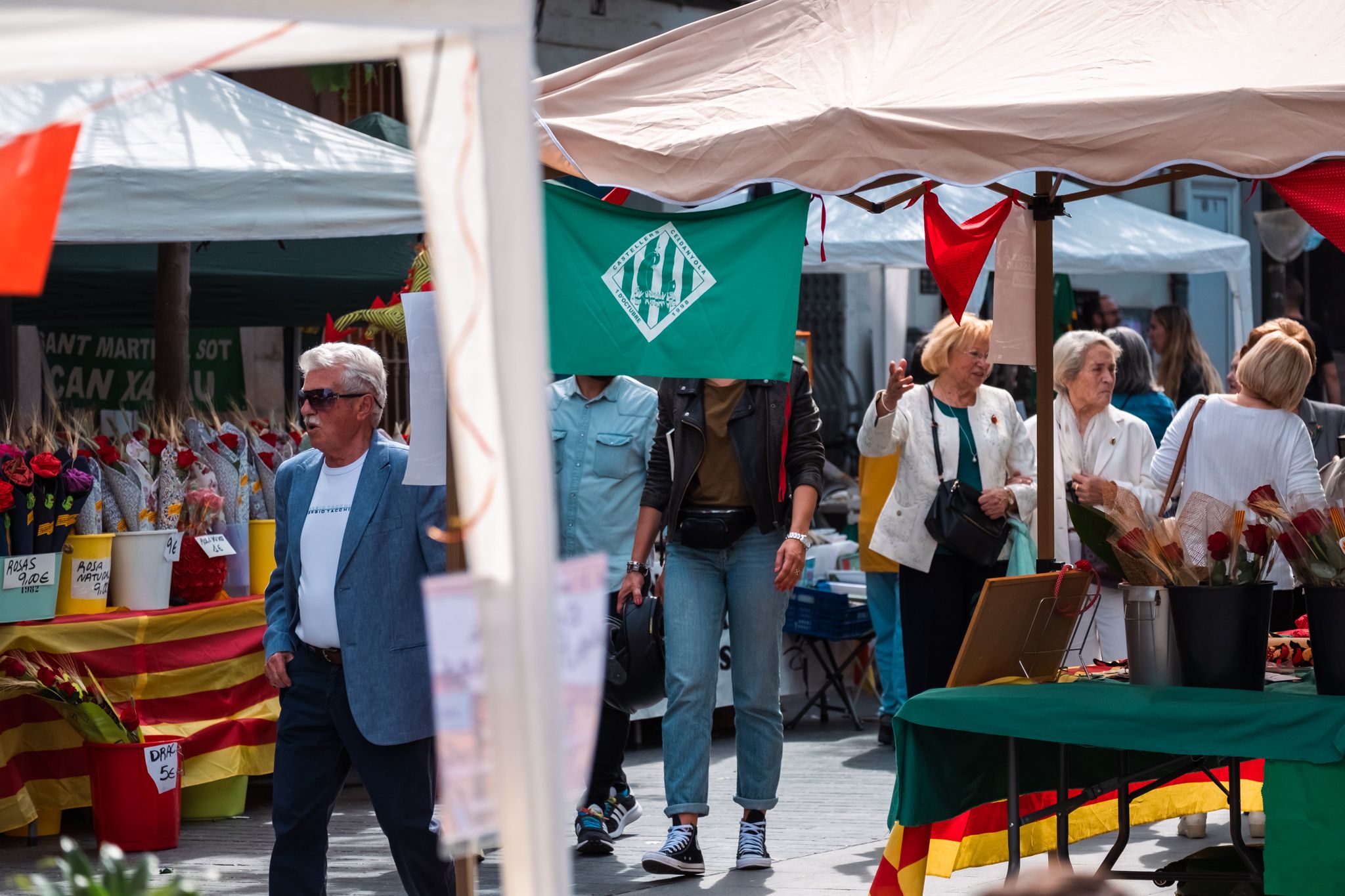 Sant Jordi a Cerdanyola 34