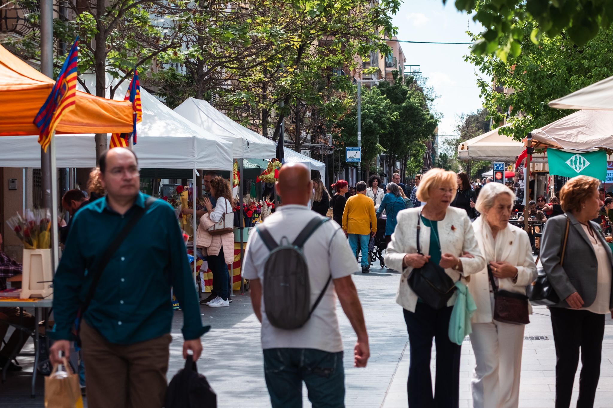 Sant Jordi a Cerdanyola 36