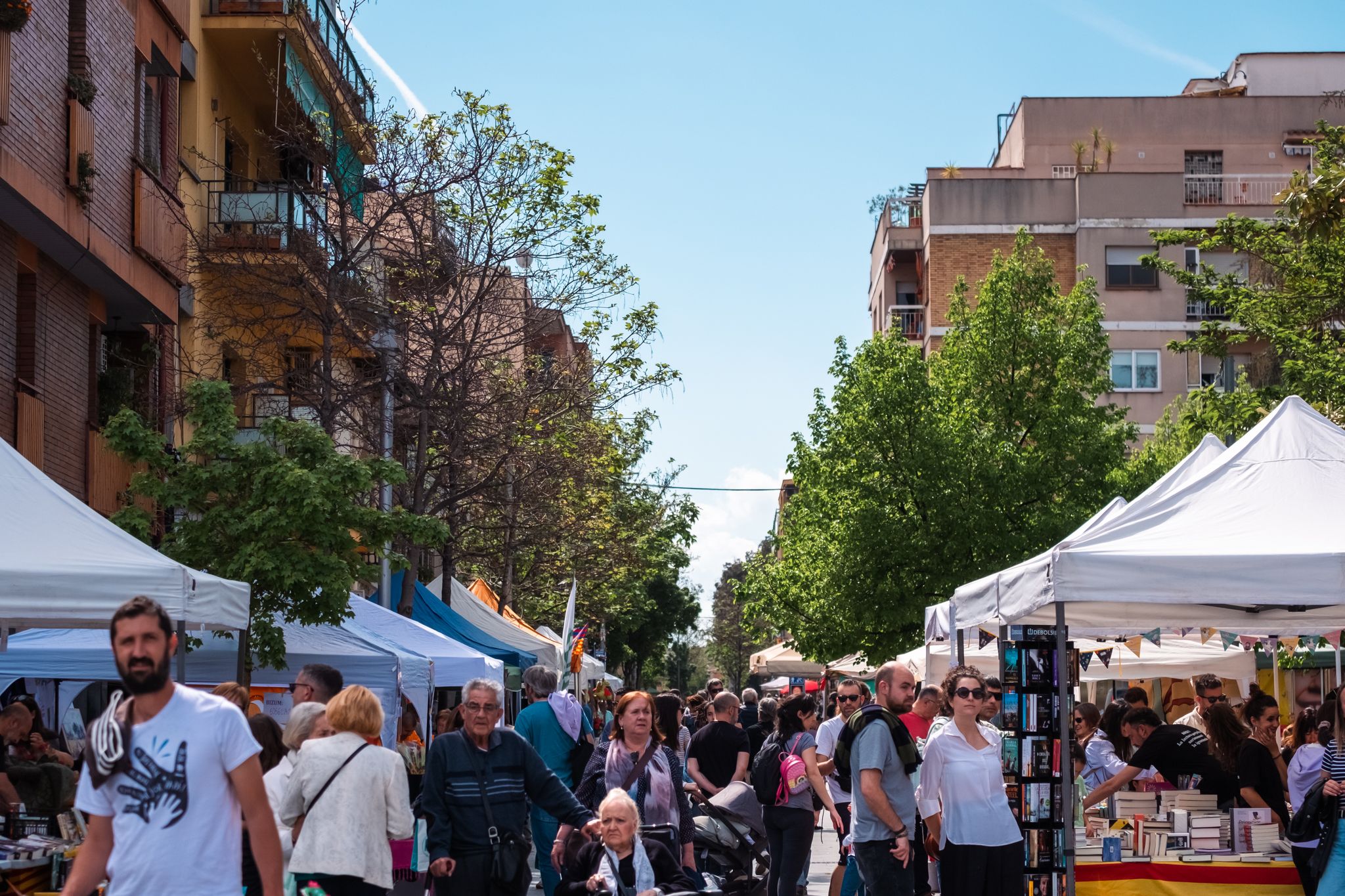 Sant Jordi a Cerdanyola 38