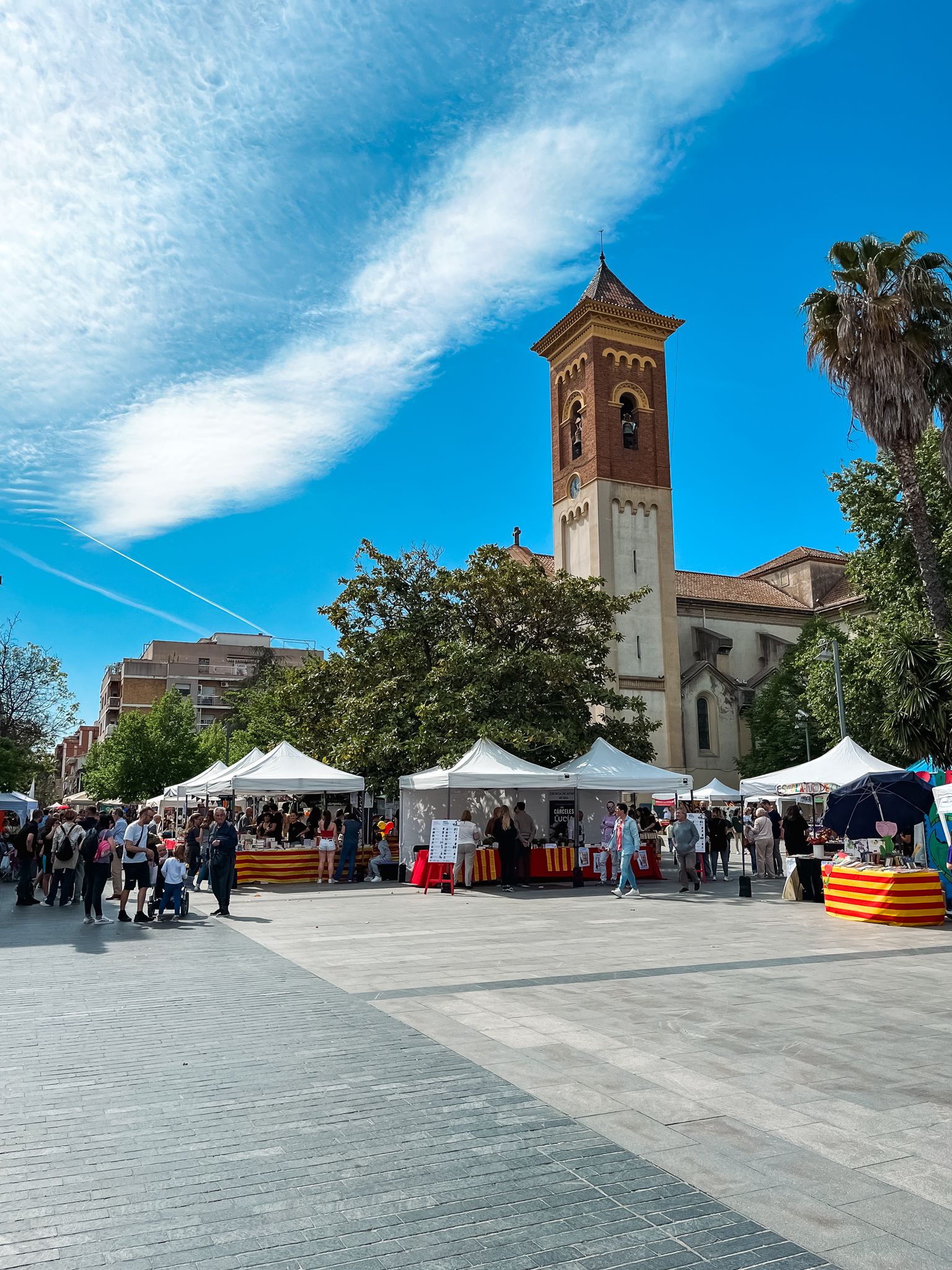 Sant Jordi a Cerdanyola 46