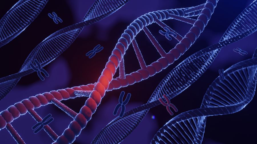 L'estudi se centra especialment en l'ELA i l'Alzheimer. FOTO: Cedida