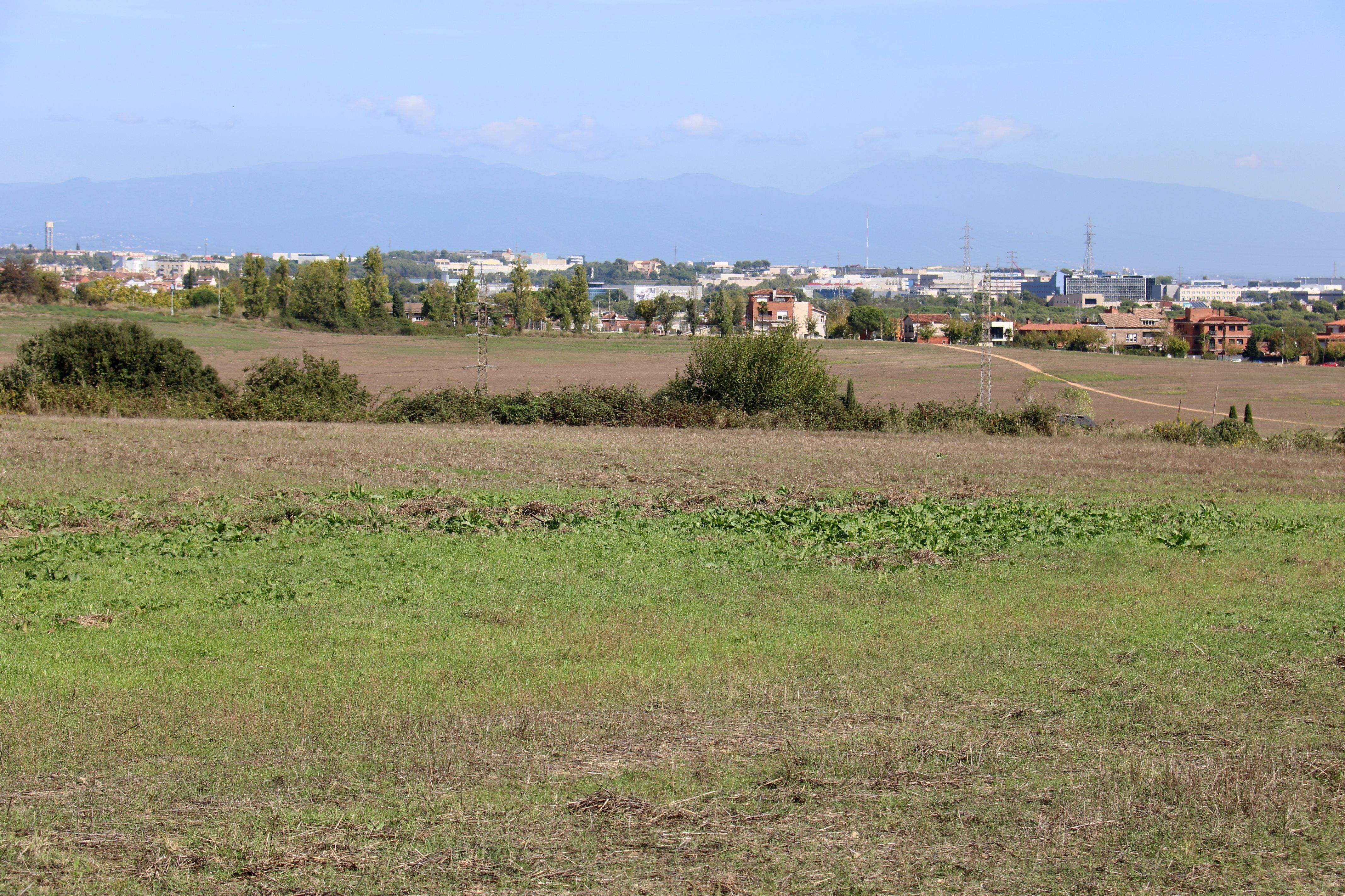 Un dels terrenys del Parc de l'Alba. FOTO: Albert Segura (ACN)