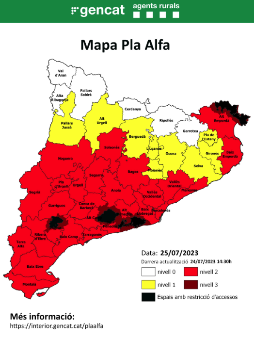 Pla Alfa del 25 de juliol