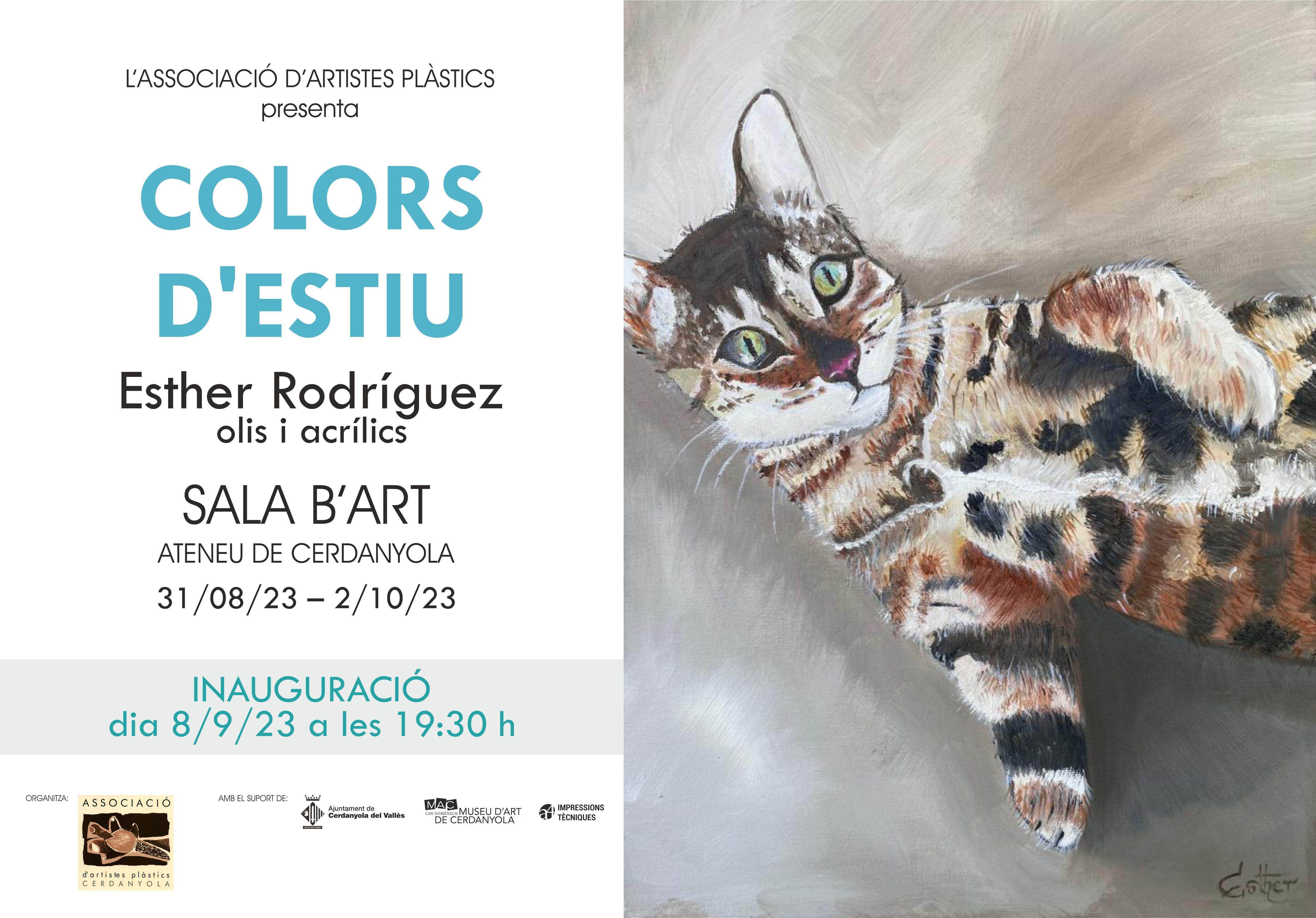 Cartell de l'exposició 'Colors d'estiu'. Ajuntament de Cerdanyola