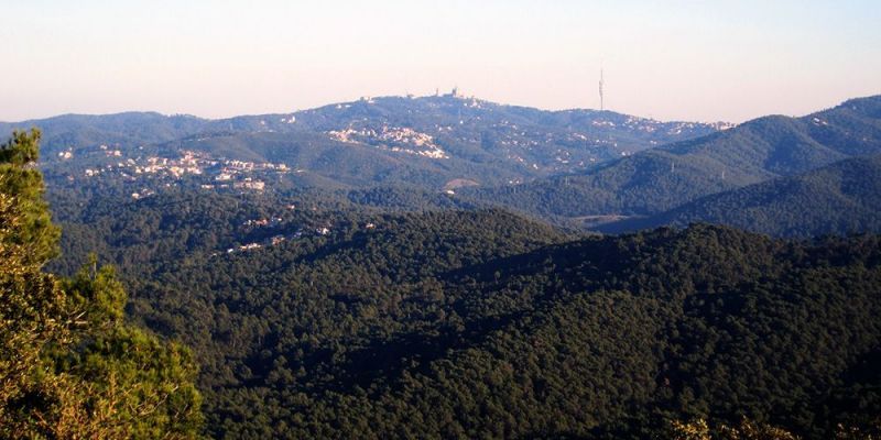 Parc Natural de Collserola. FOTO: FEEC Parc Natural de Collserola. FOTO: FEEC