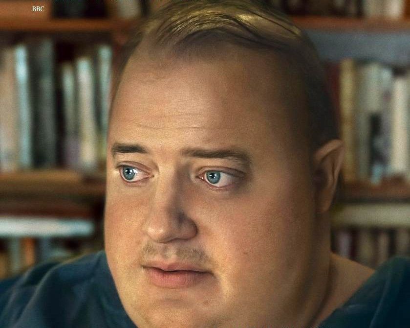 Xiscnèfils projectarà al setembre la pel·lícula "La balena" (The Whale). FOTO: Cedida