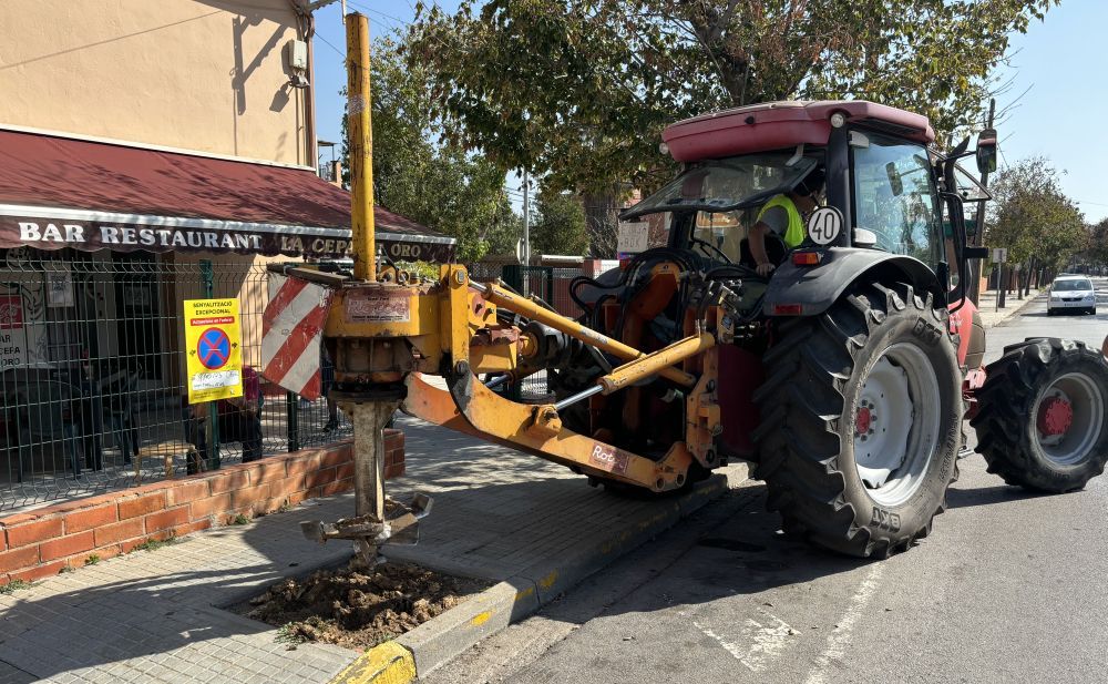 Retirada de soques dels arbres. FOTO: Ajuntament de Cerdanyola
