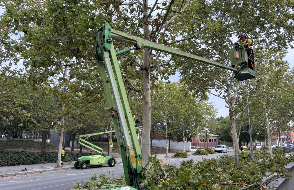 Camanya d'esporga dels arbres. FOTO: Ajuntament de Cerdanyola Camanya d'esporga dels arbres. FOTO: Ajuntament de Cerdanyola
