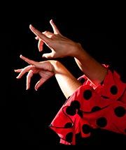 Jornades Flamenques de la Casa d'Andalusia de Cerdanyola. FOTO: Casa d'Andalusia