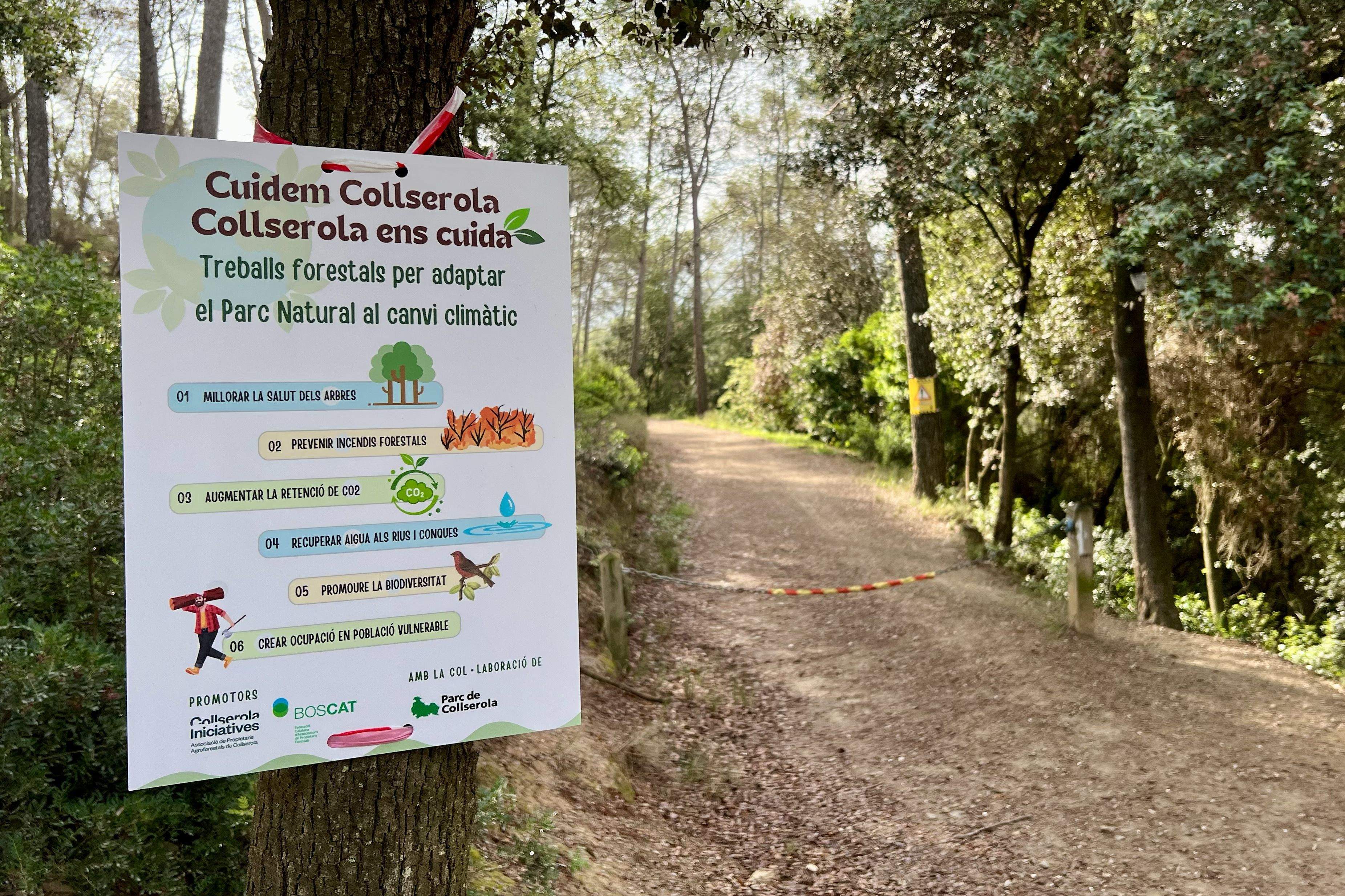 Cartell informatiu als boscos de Collserola. FOTO: ACN