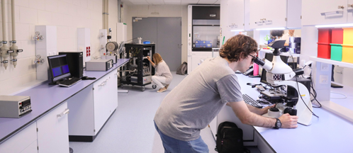 El laboratori està totalment equipat i optimitzat per a la preparació i estudi operando de bateries. FOTO: Sincrotró ALBA