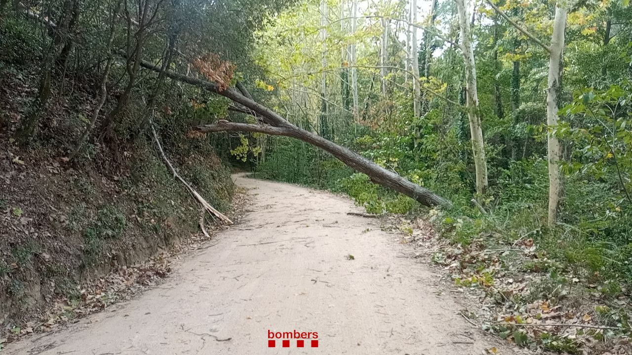 Protecció Civil i Bombers demanen extremar les precaucions davant del perill per vent. FOTO: Bombers
