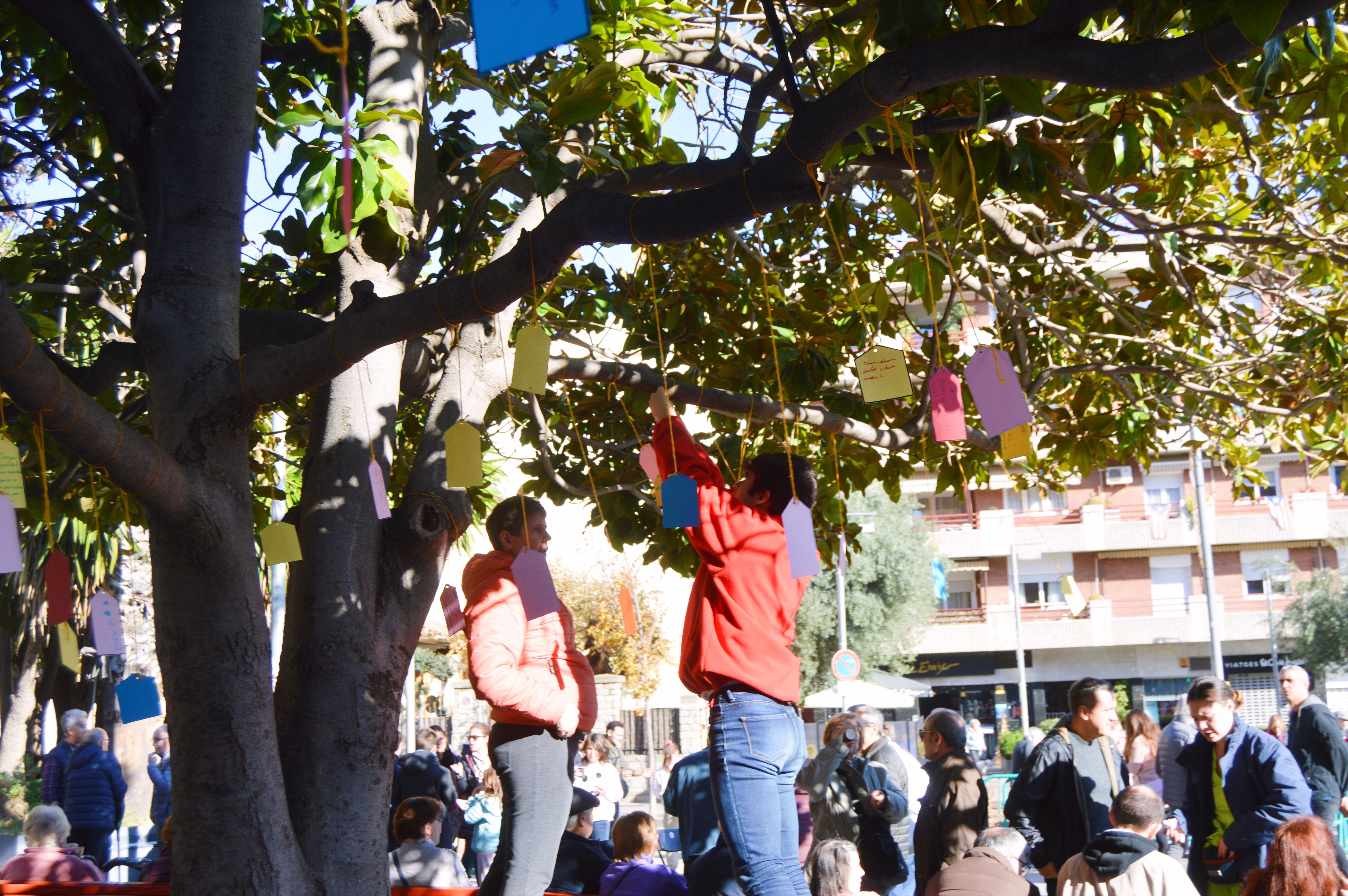 Arbre dels desitjos en el Dia Mundial de les Persones amb Diversitat Funcional. FOTO: Nora MO