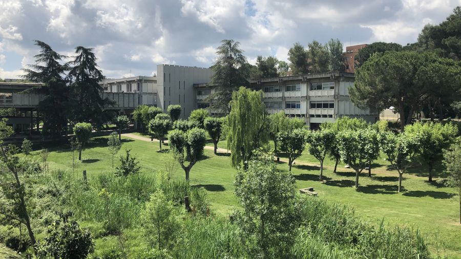 Campus de la UAB. FOTO: UAB