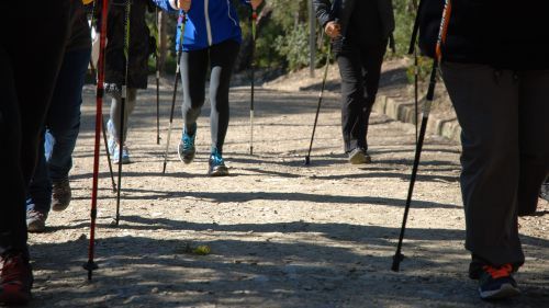 La Marxa Nòrdica Solidària se celebrarà el pròxim diumenge 17 de desembre. FOTO: Ajuntament de Cerdanyola