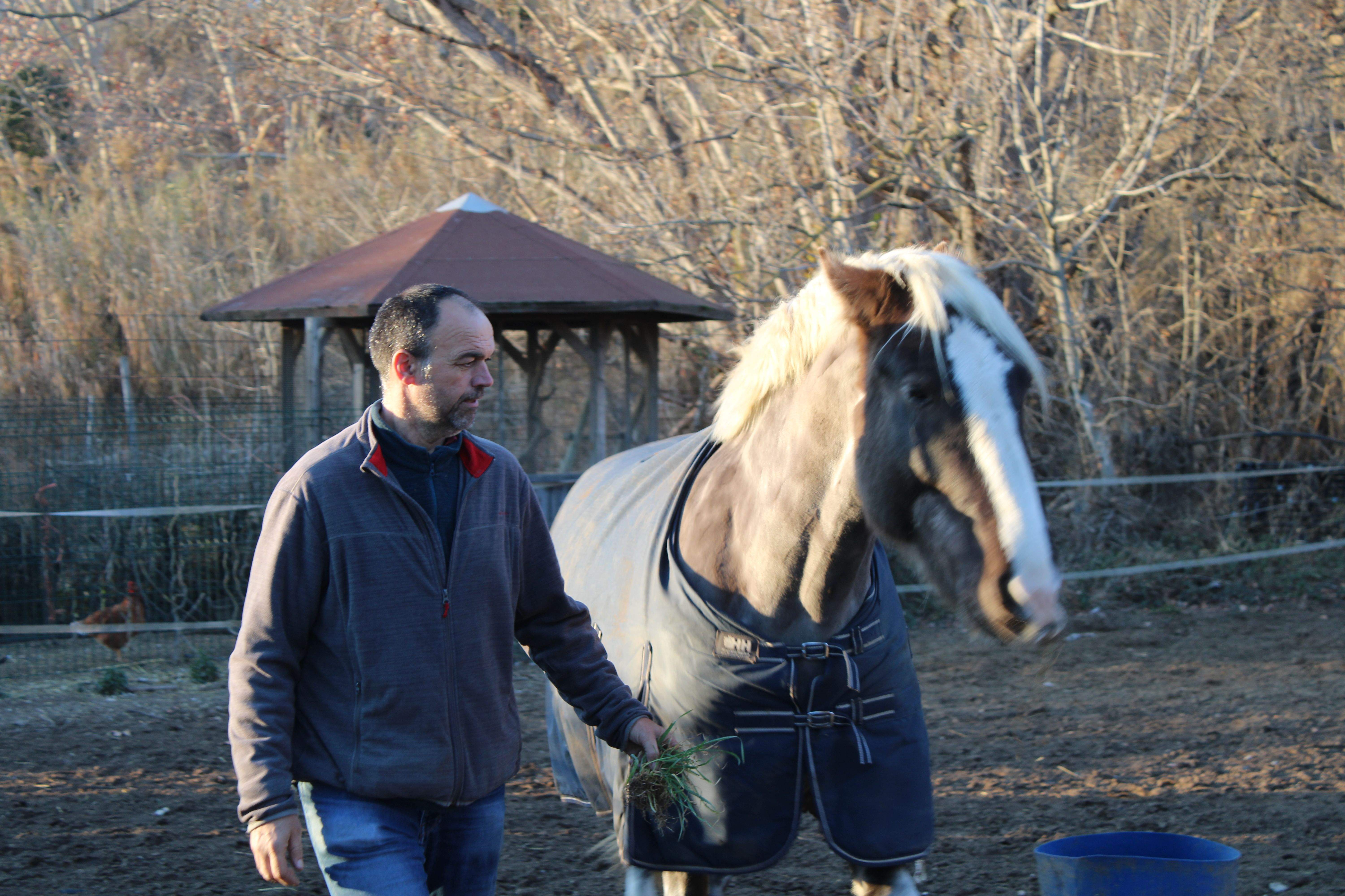 Carles Artado és l'encarregat de cuidar els cavalls dels Arriers i Arrieres de Cerdanyola. FOTO: Guillem Barrera