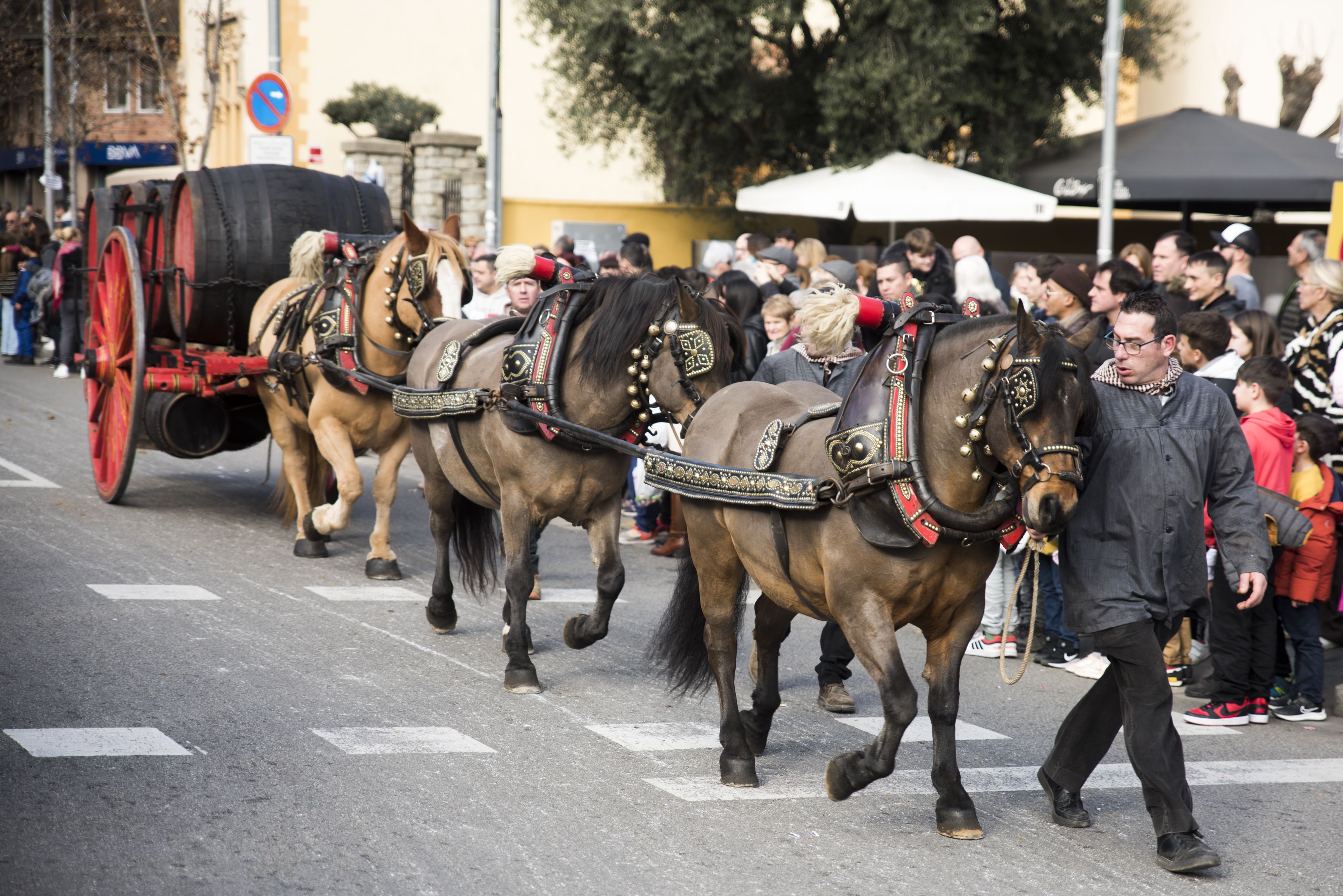 Passada dels Tres Tombs 2024. FOTO: Bernat Millet