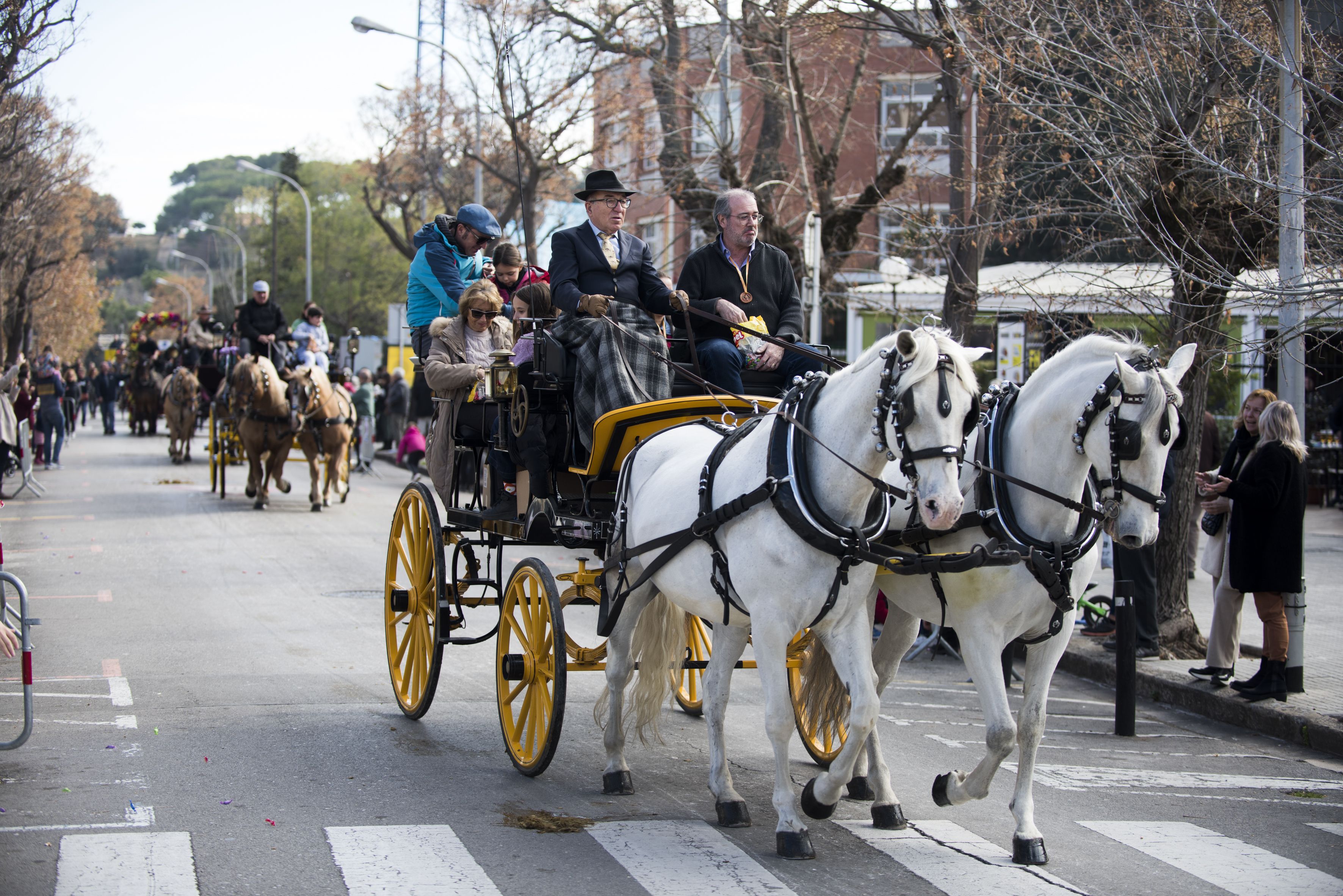 Passada dels Tres Tombs 2024. FOTO: Bernat Millet