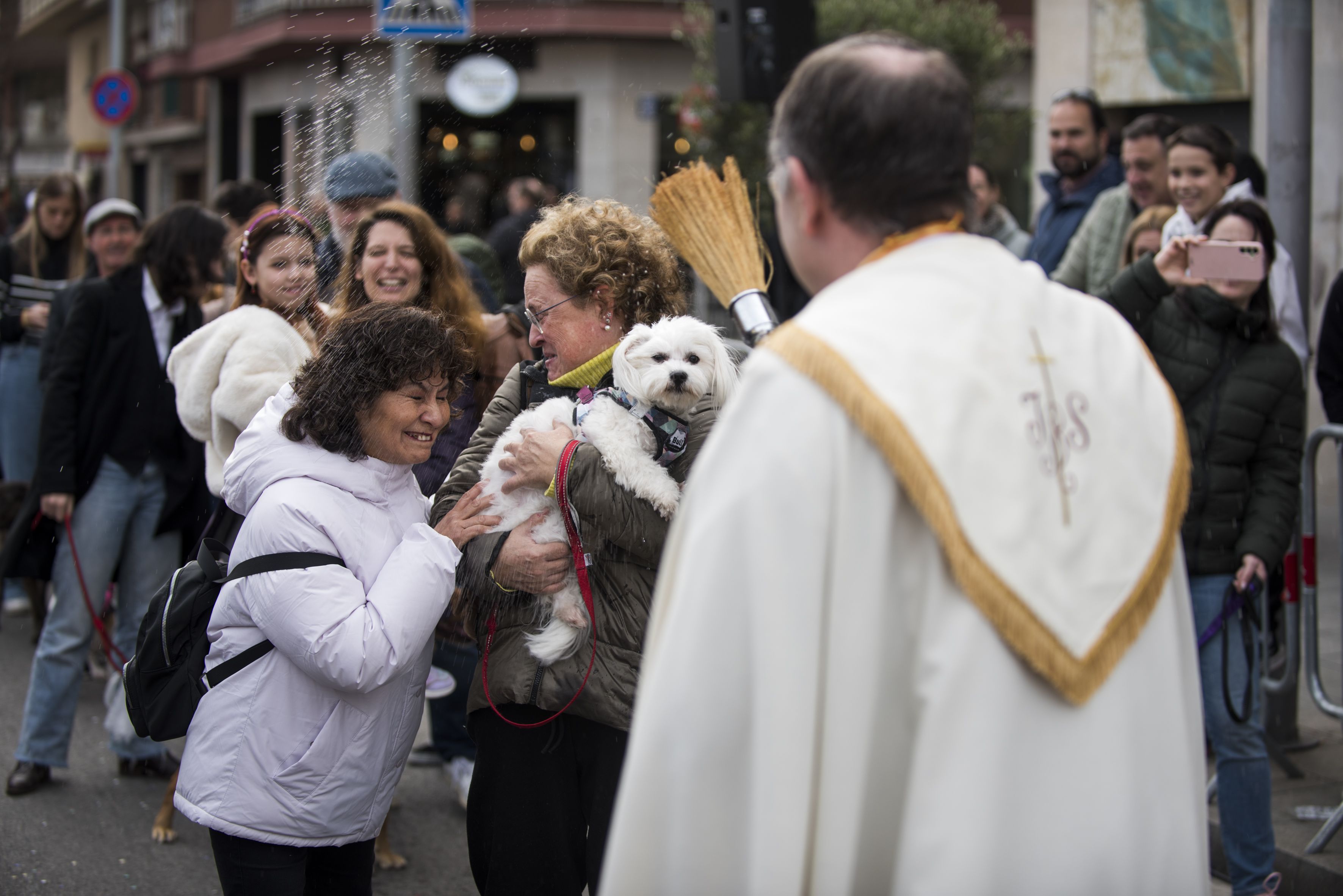 Passada dels Tres Tombs 2024. FOTO: Bernat Millet