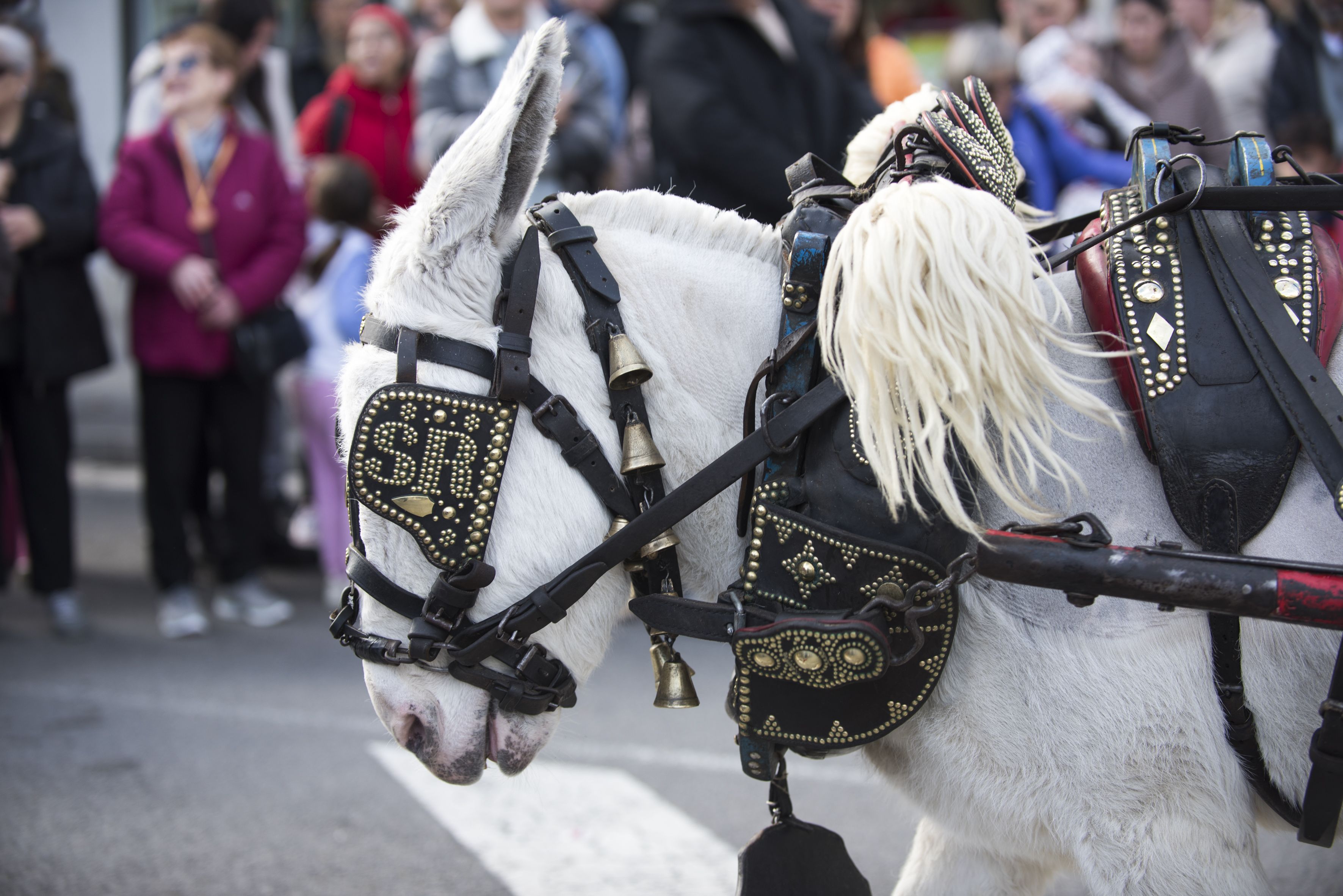 Tres tombs cerdanyola 2024 26