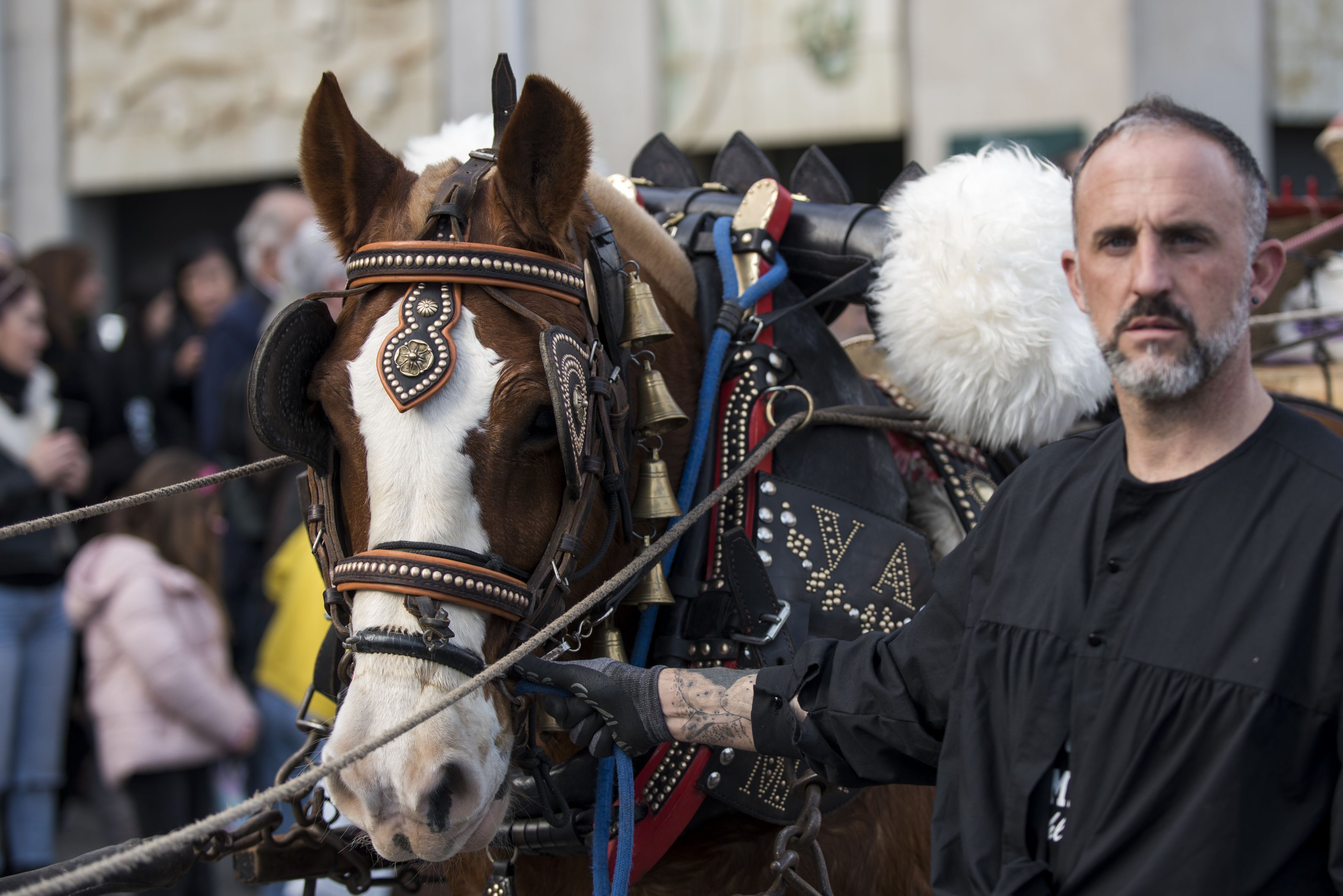 Passada dels Tres Tombs 2024. FOTO: Bernat Millet