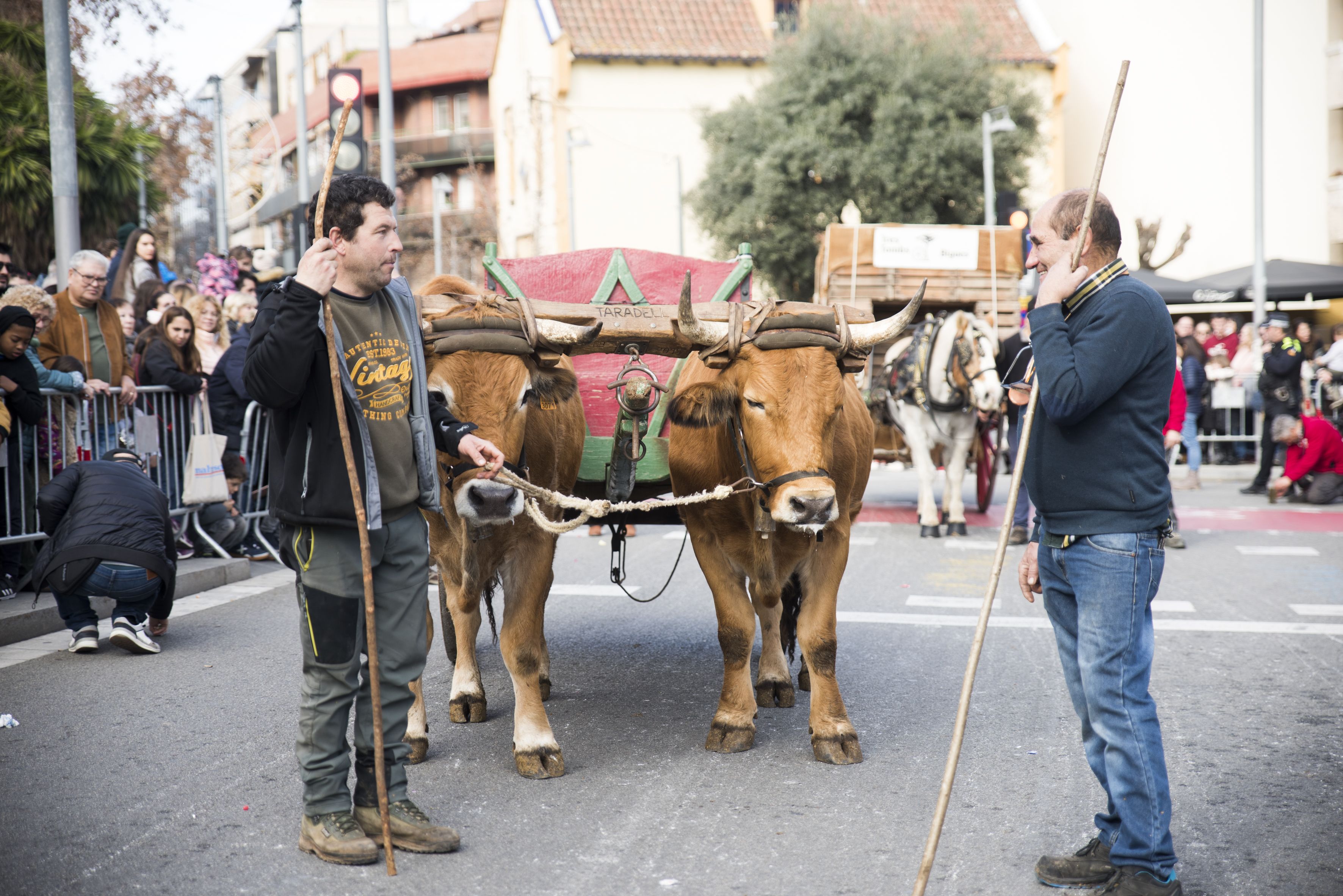 Passada dels Tres Tombs 2024. FOTO: Bernat Millet