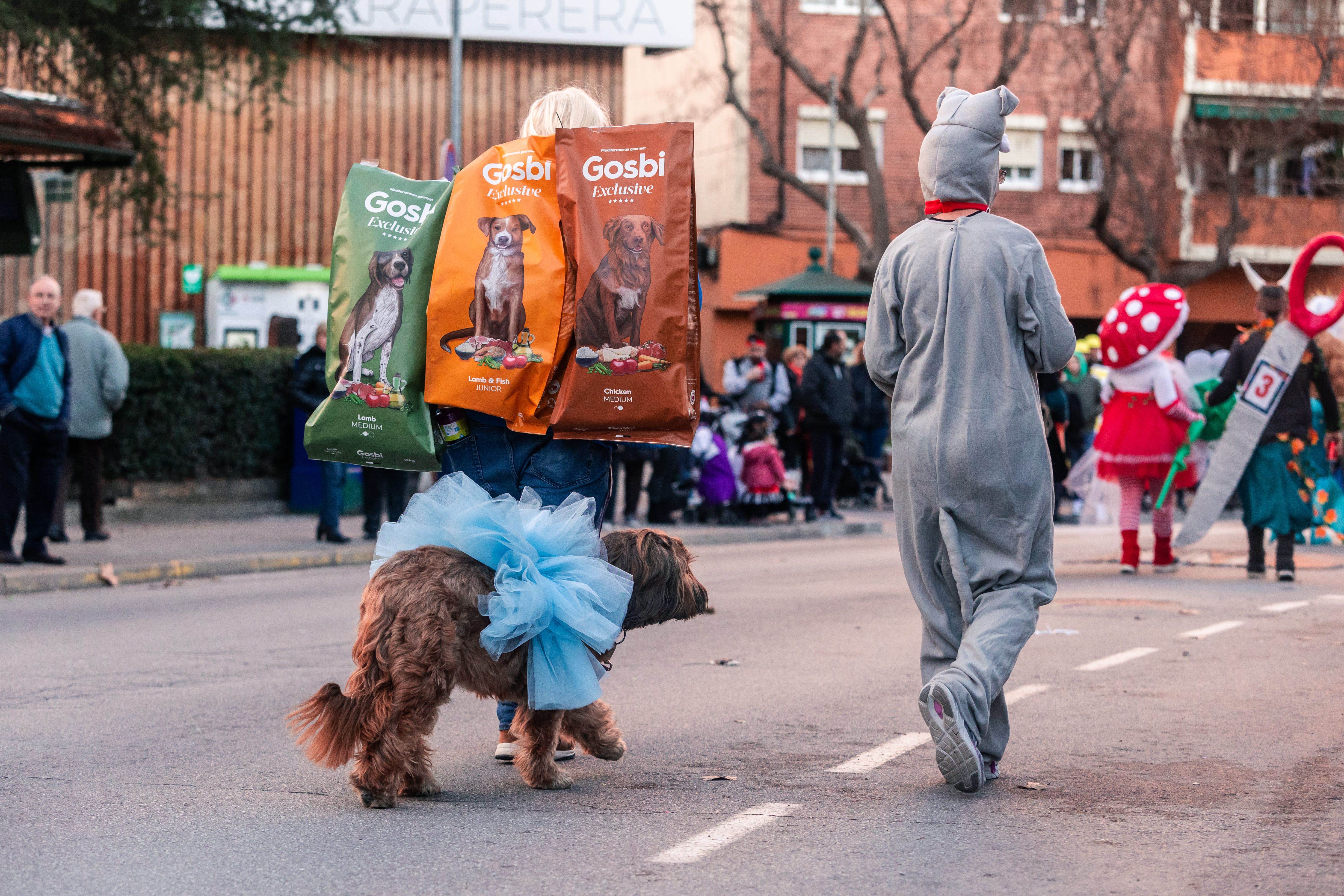 Les imatges del Carnaval 2024. FOTO: Arnau Padilla