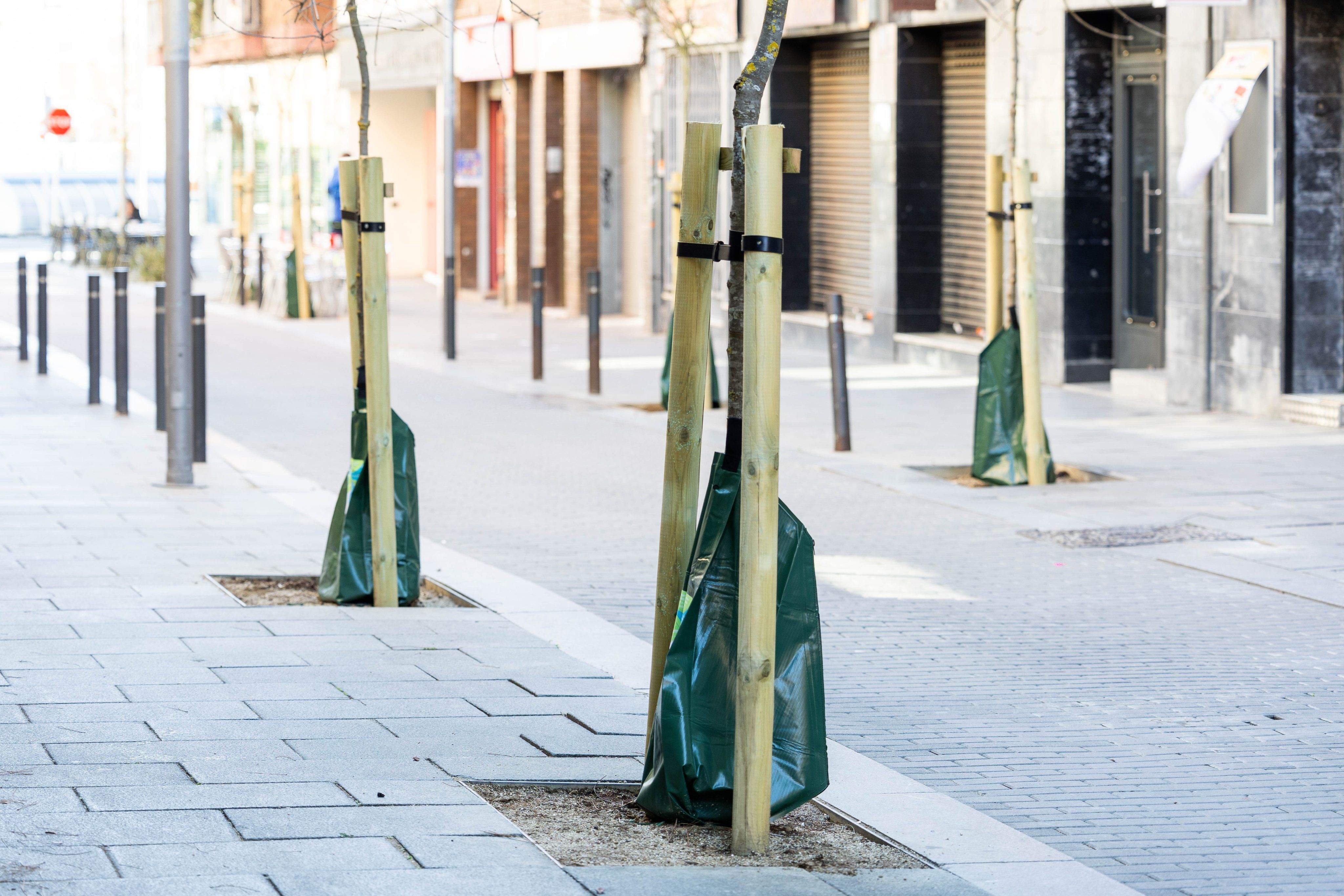 Bosses de reg per filtració al passatge Ajuntament. FOTO: Ajuntament de Cerdanyola