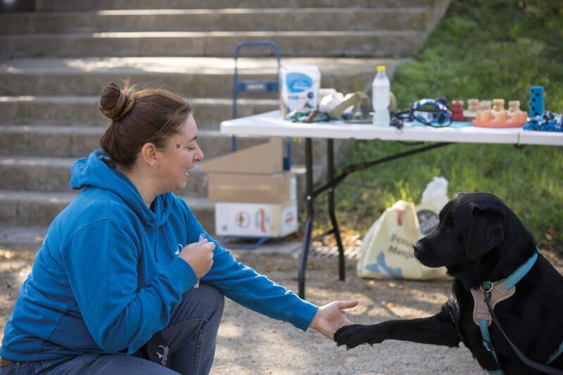 Taller de convivència amb gossos. FOTO: AMB