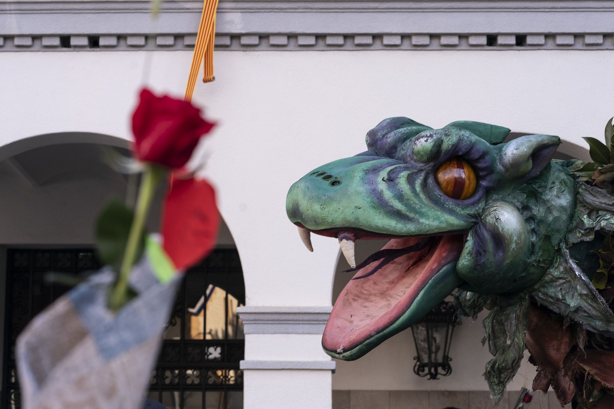 Sant Jordi 2024. FOTO: Mireia Comas