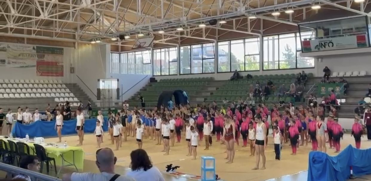II Trofeu Roser de Maig de Gimnàstica Rítmica AEE IES Banús. FOTO: Cedida II Trofeu Roser de Maig de Gimnàstica Rítmica AEE IES Banús. FOTO: Cedida